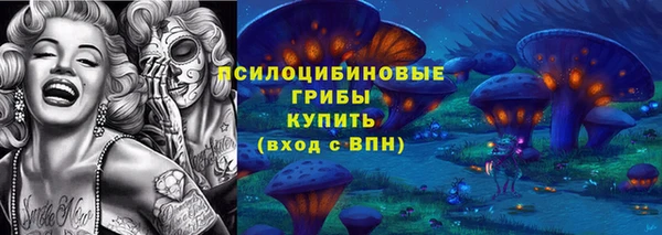 mdpv Арсеньев