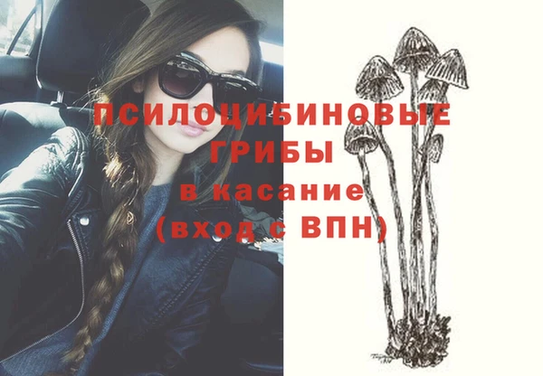 метадон Аркадак
