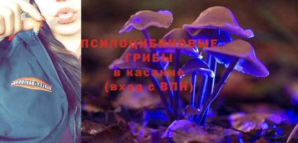 метадон Аркадак
